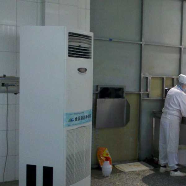 通州食品正负离子空气杀菌器